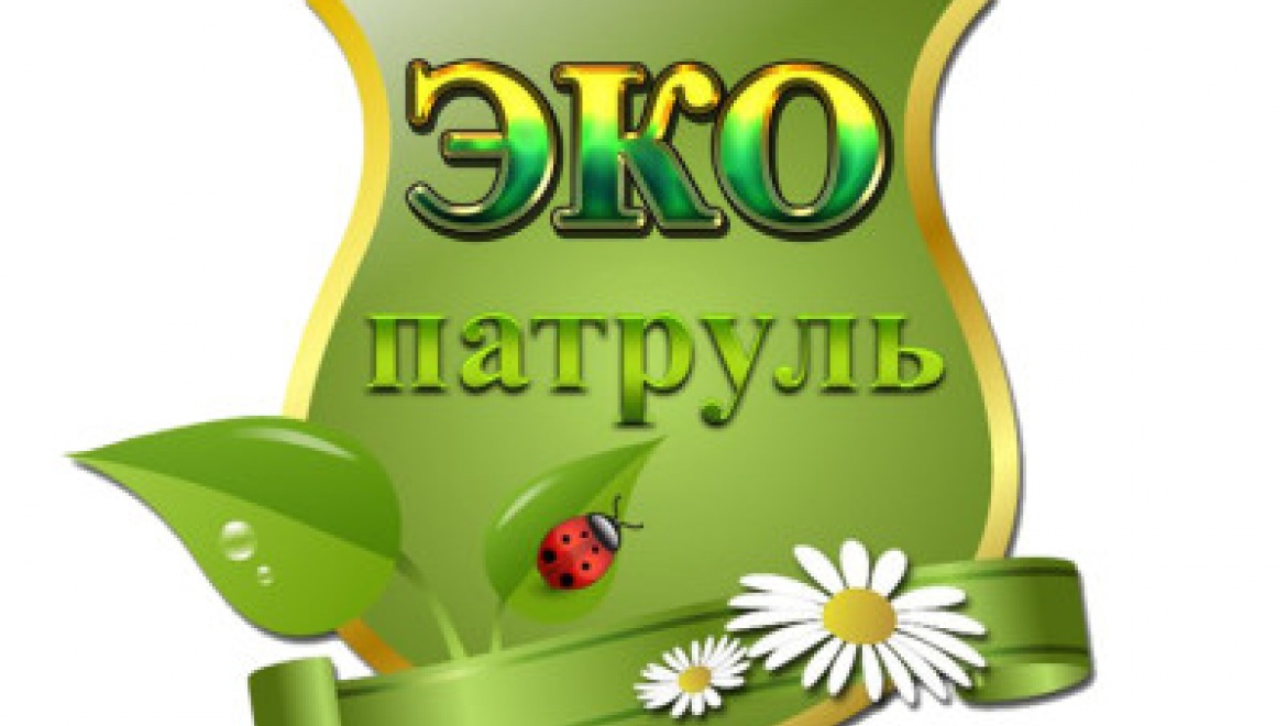 27 мая в Казани наградят самых активных участников «Школьного эко-патруля»