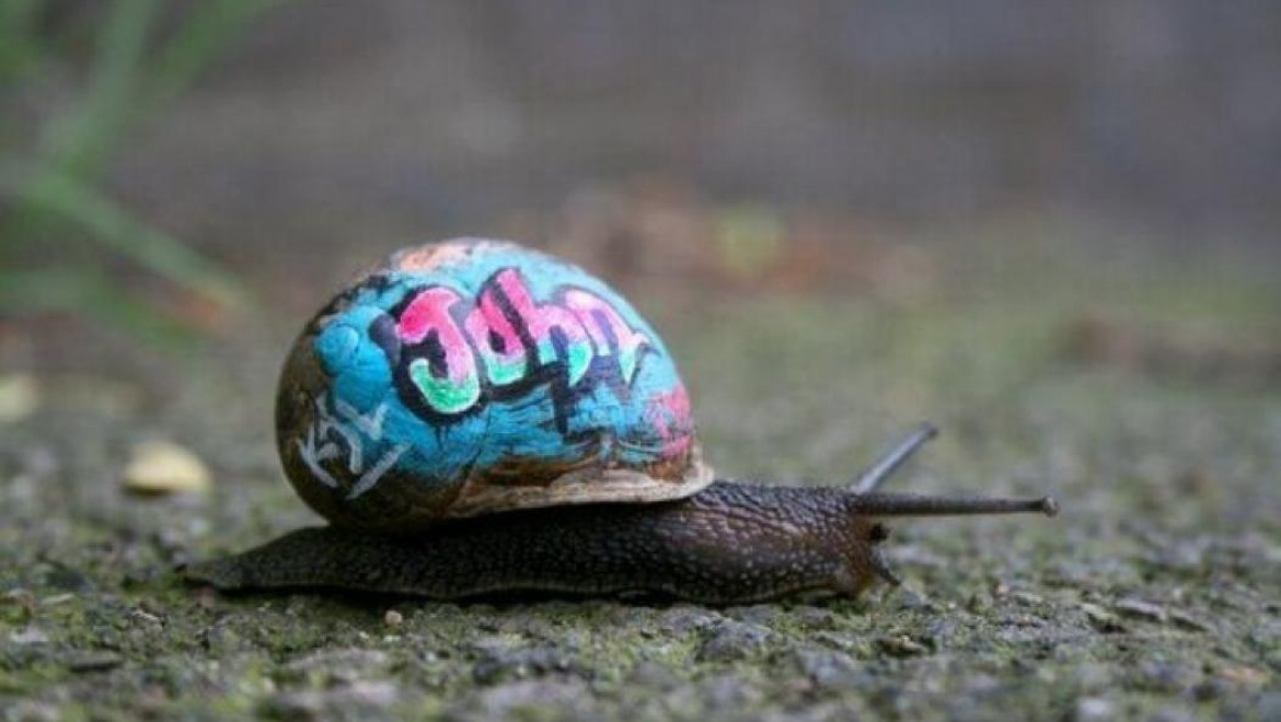 В Казани стартовал прием заявок на участие в городском конкурсе граффити «Краски жизни»