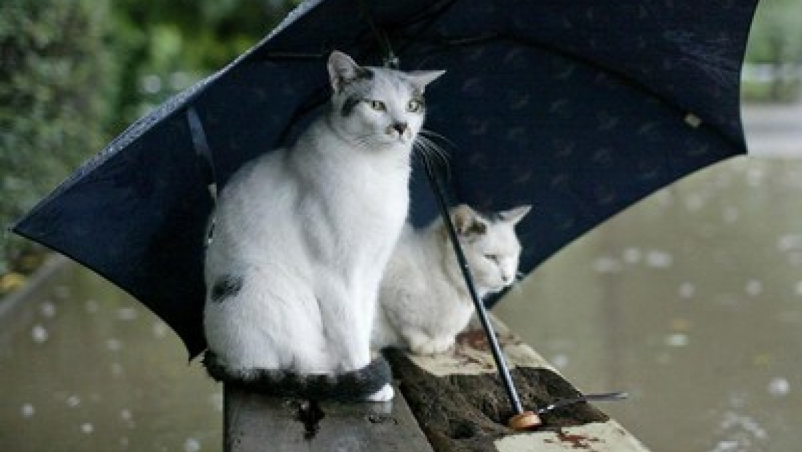 В Казани сохраняется вероятность сильных гроз