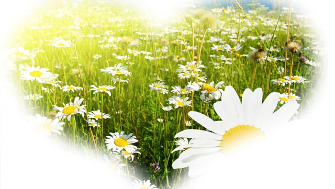 Губернаторский музей приглашает в «Дом большой дружной семьи»