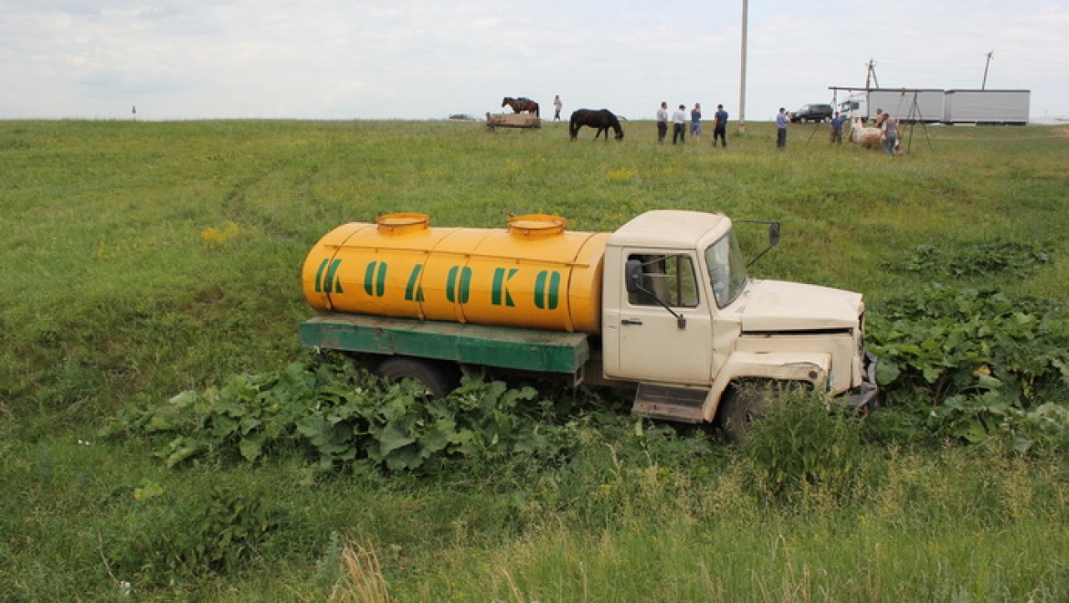 "Молоковоз"  вылетел в кювет и наехал на пастуха (видео)