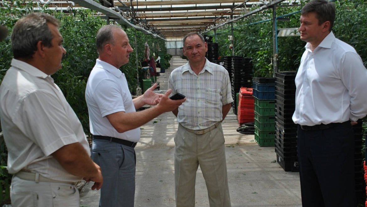 Глава администрации Оренбурга Евгений Арапов посетил «Кушкульские теплицы»