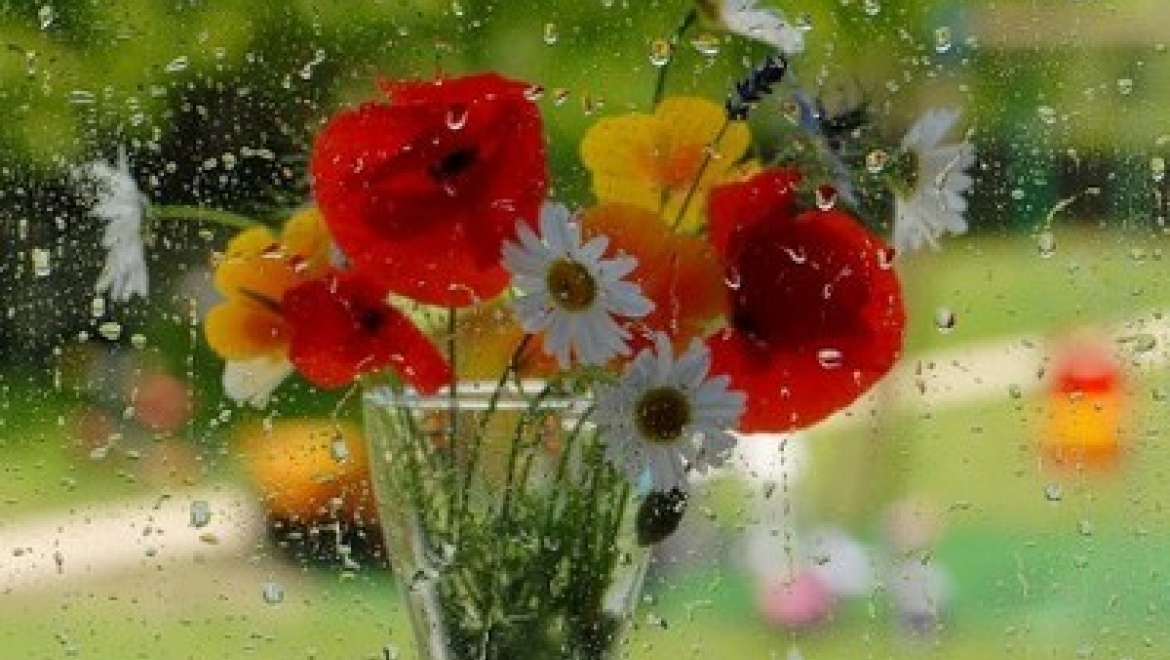 9 июля воздух в Казани прогреется до 25 градусов выше нуля