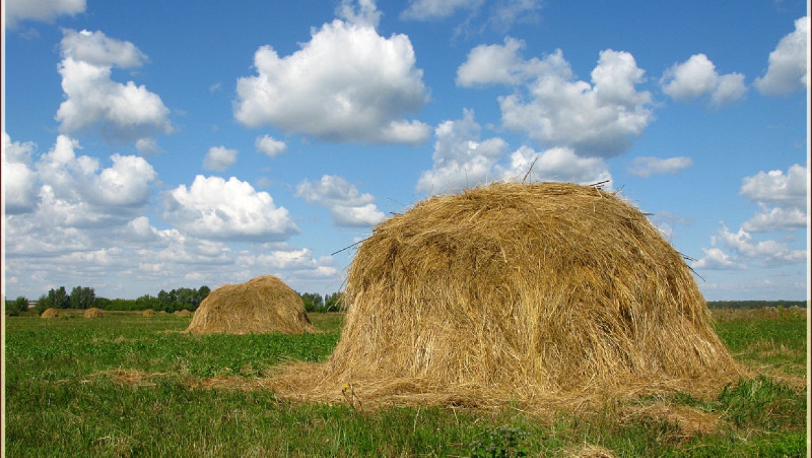 Неизвестный украл стог сена