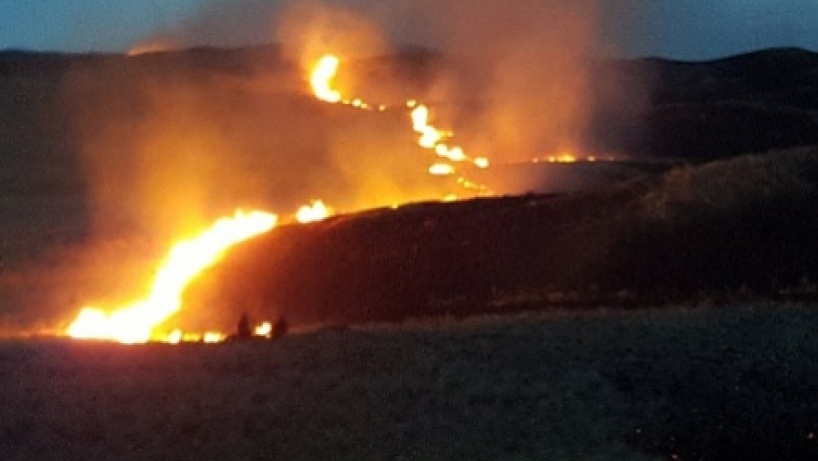 При пожаре в степи заповедник "Оренбургский" не пострадал
