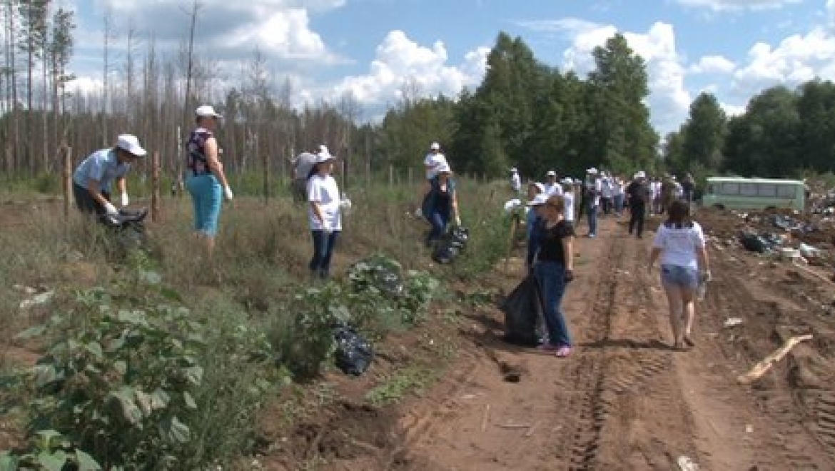 Около 250 человек приняли участие в акции «Зеленое будущее» в Бузулукском бору