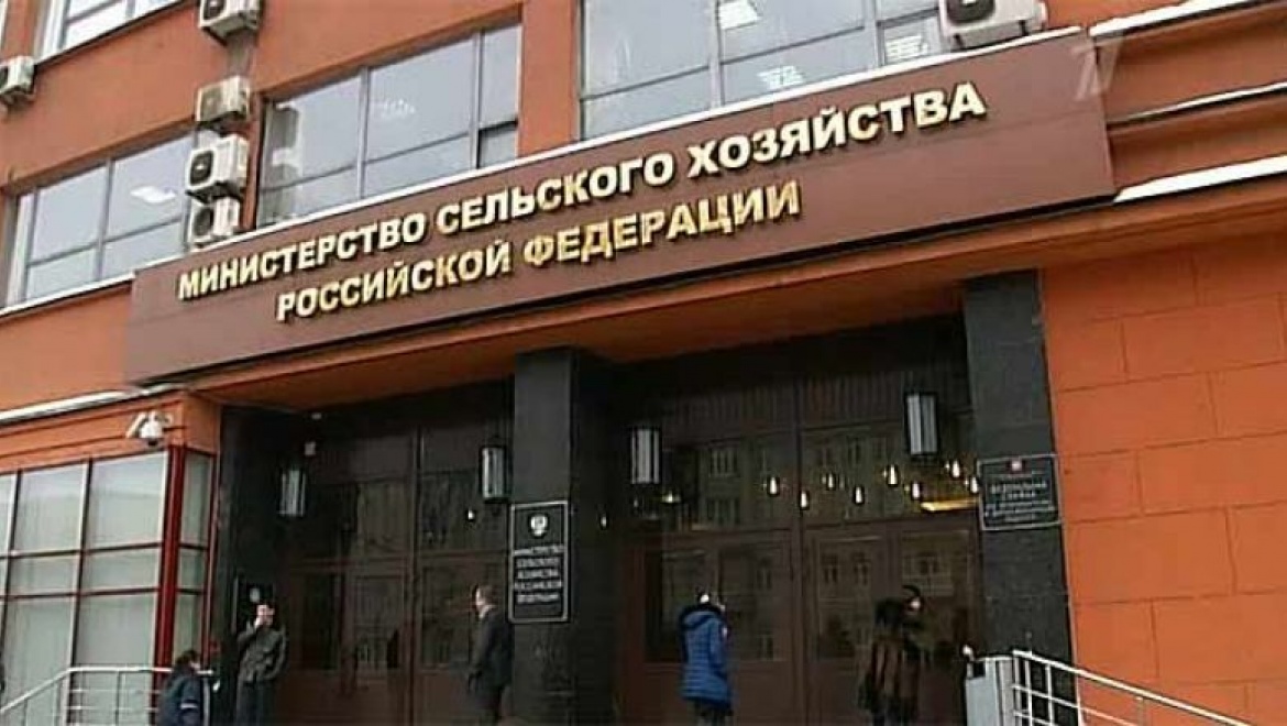 Минсельхоз РФ утвердил 249 инвестпроектов Оренбургской области, подлежащих субсидированию